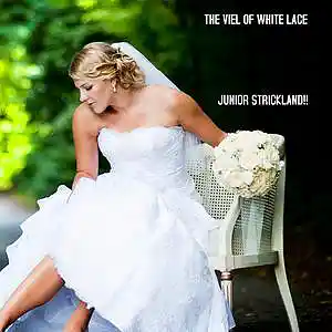 Picture for song 'THE VEIL OF WHITE LACE!!!!!!!!!!!!!!!!!!!' by artist 'JUNIOR STRICKLAND'