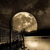 Picture for song 'Dark Waters' by artist 'Kelton Ree'