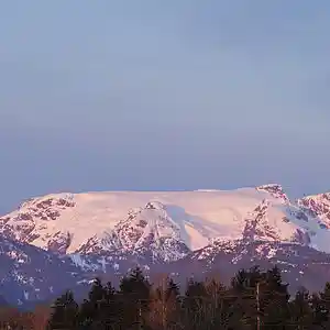 Picture for song 'mother of god' by artist 'Mattila'