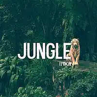 Picture for song 'Drake Type Beat - Jungle (BUY ONE GET 3 FREE)' by artist 'taylorkingbeats'