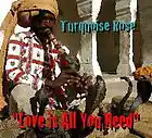 Picture for song 'Love Is All You Need' by artist 'Turquoise Rose'