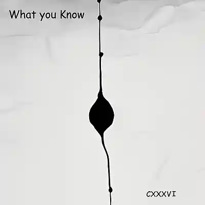 Picture for song 'What you Know (CXXXVI)' by artist 'Bovine Productions'
