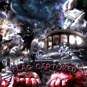 cover pic