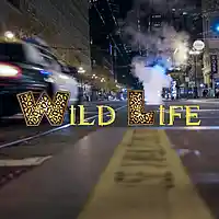 Picture for song 'Wild Life(129bpm)' by artist 'OP Beats(US)'