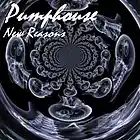 Picture for song 'New Reasons' by artist 'Pumphouse'