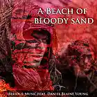 Picture for song 'A Beach Of Bloody Sand feat. Danlb Young' by artist 'Serious-Music (Germany)'