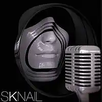 Picture for song 'Something's got to give' by artist 'SKNAIL'