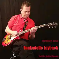 Picture for song 'Funkadelic Layback (2016 Live Guitar Version)' by artist 'The Guido K. Group'