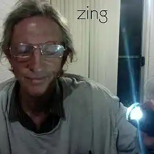 Picture for song 'zing' by artist 'tichphillips'