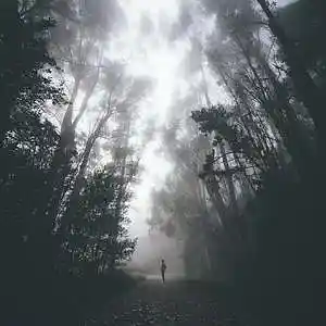 Picture for song 'I Feel So All Alone - Instrumental' by artist 'Tony Cunha'