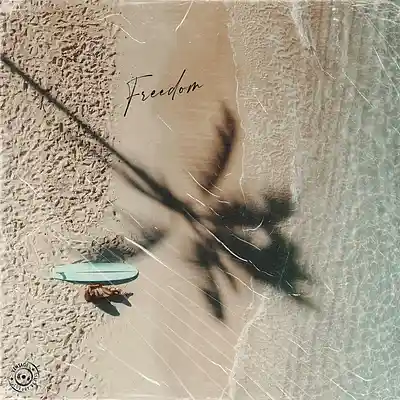 Picture for song 'Freedom - Funk Type Beat - Bruno Mars' by artist 'Vintage Luxury Beats'