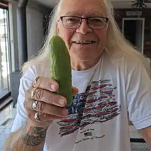 Picture for song 'Southern Cross' by artist 'Dave Dunklee'