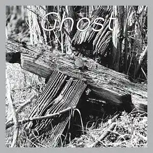 Picture for song '[FREE] Fianso Type Beat - Ghost' by artist 'DFS music'