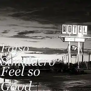 Picture for song 'Feel So Good' by artist 'Falso Simulacro'