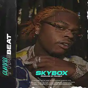 Picture for song 'GUNNA TYPE BEAT - "SKYBOX"' by artist 'FRANSUZ'