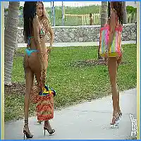 Picture for song 'Doggie Treats Hooker Role Play' by artist 'JoshPranks'