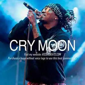 Picture for song 'CRY MOON (Future x Flute x Ambient x Trap Beat)' by artist 'Kisses Beats'