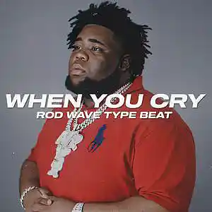 Picture for song 'When You Cry (BUY 1 GET 4 FREE)' by artist 'Wendigo'
