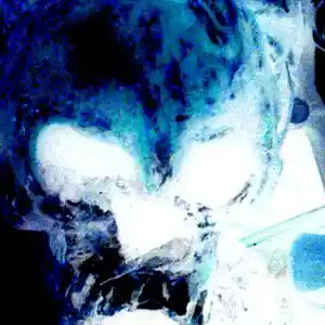 Picture for song 'It'z No Use (Part II)' by artist 'GOBLIN 5'