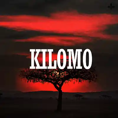 Picture for song 'Kilomo [ Chill Afrobeat Type Beat]' by artist 'heDrillz'