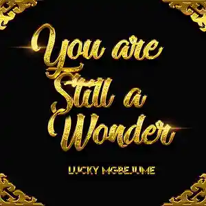 Picture for song 'You're still a wonder' by artist 'Min. Lucky Mgbejume'
