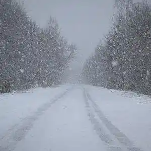 Picture for song 'Walking in a snowstorm' by artist 'SKVRLET OCEVN'