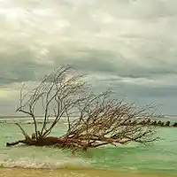 Picture for song 'I wish...' by artist 'stefanos grigoriadis'