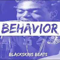 Picture for song 'Blackskins Beats - Behavior' by artist 'Blackskins Beats'