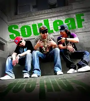 cover pic