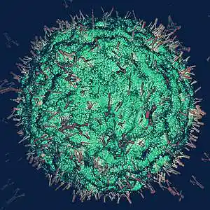 Picture for song 'Covid (Chris Brown Type Beat) - Devezin.com' by artist 'Devezin'