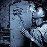 Picture for song '$DolphWorld$ Purchase for full version' by artist 'Flight Life Beats'