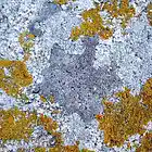 Picture for song 'Prelude No. 1' by artist 'Nahum'