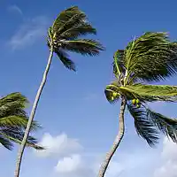 Picture for song 'Winds (Prod by Providence)' by artist 'Providence Beats'