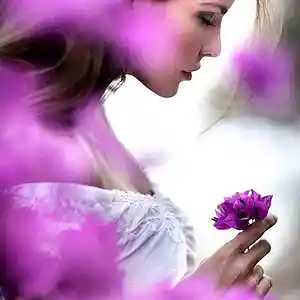 Picture for song 'The Love You Gave (feat. Paolamadelaine)' by artist 'Round The Globe'