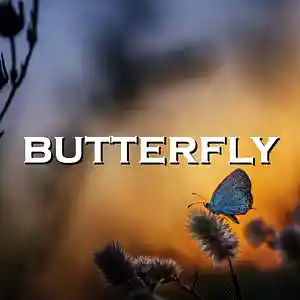 Picture for song 'Butterfly' by artist 'SadGlad Music'