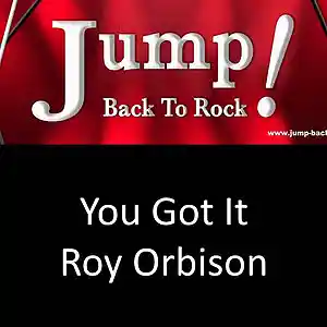 Picture for song 'You Got It - Roy Orbison (covered by JUMP!)' by artist 'Wolbai - Music - Collaborations'