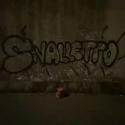 Picture for song 'Sivalletto' by artist 'yotoo'