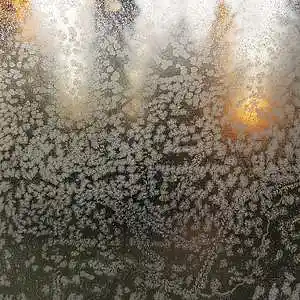 Picture for song 'Season of the cold flower' by artist 'Andi Wendt'