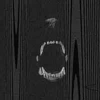 Picture for song 'Tellin Lies' by artist 'bigcatbeats'