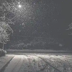 Picture for song 'If You Stay' by artist 'DJ Lekich'