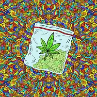 Picture for song 'While I Was Trippin' by artist 'DonnieDigm'