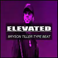 Picture for song 'Elevated / Bryson Tiller Type Beat' by artist 'Hitplaybeats'