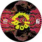 Picture for song 'PSYCH PSOUL' by artist 'phat jolly roger'