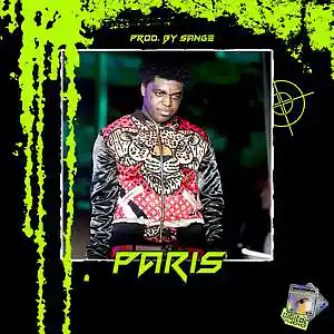 Picture for song 'Polo G x Toosii x Kodak Black Type Beat - Paris' by artist 'sange beats'