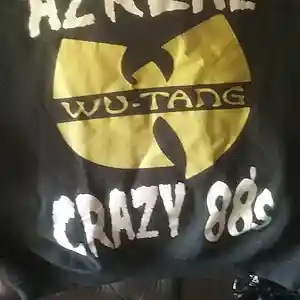 Picture for song 'Massacre of A Wutang Master' by artist 'The WoodBeez'