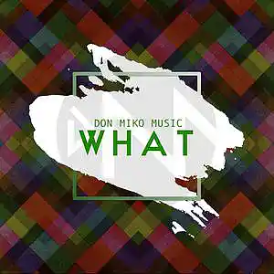 Picture for song 'What - Don Miko Music' by artist 'Don Miko Music'
