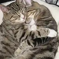 Picture for song 'Easy now' by artist 'Gavin Baker'