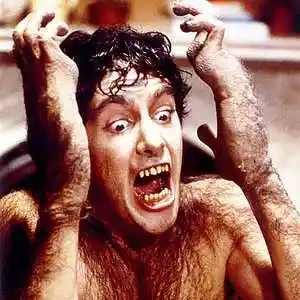 Picture for song 'An American Werewolf in London Porno Theme' by artist 'Previous Signs of Decay'