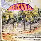 Picture for song 'Rainbow' by artist 'Ravenhill'