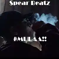 Picture for song 'MULA - Prod by @SpearBeatz' by artist 'Spear Beatz'